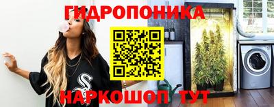 герыч Боровичи